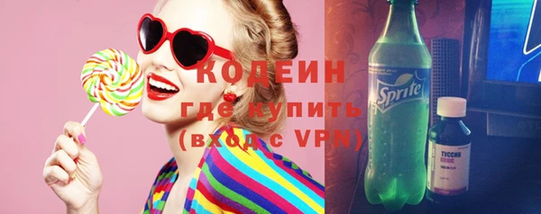 дмт Ельня