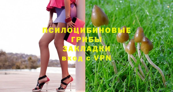 apvp Куйбышев