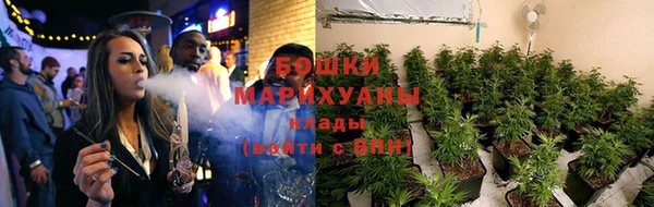 винт Елизово