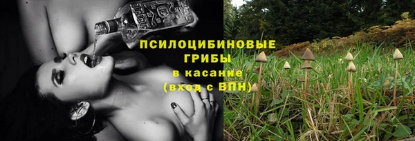 эйфоретик Арсеньев