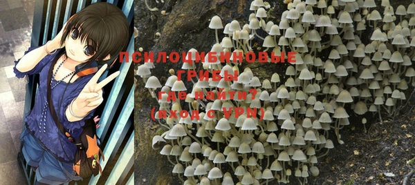 гашиш Кукмор