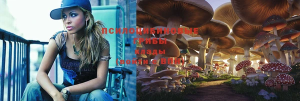 эйфоретик Арсеньев