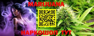 ешки Гатчина
