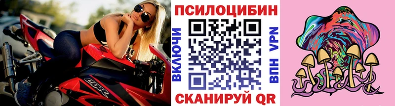 Галлюциногенные грибы MAGIC MUSHROOMS  закладки  Елабуга 